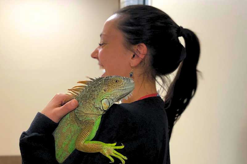 Holding an iguana Holding an iguana