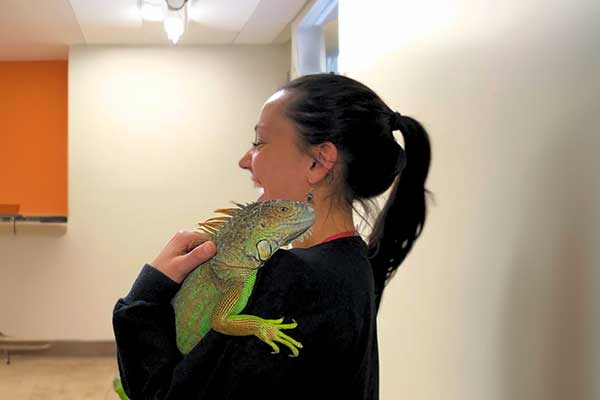 Service - Pocket Pets, Avians, & Exotics Service - Pocket Pets, Avians, & Exotics