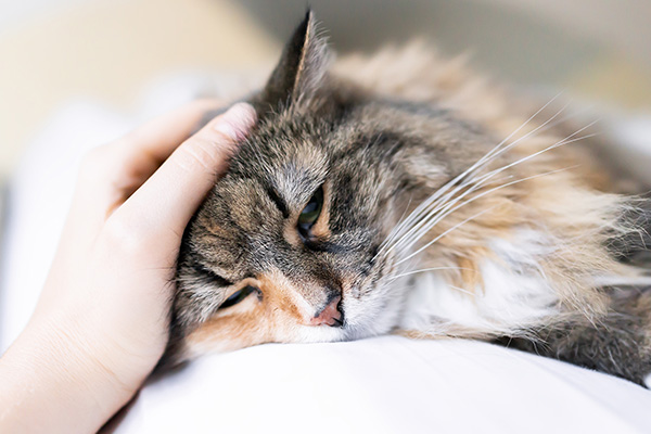 Service - Pain Management & Therapies Service - Pain Management & Therapies