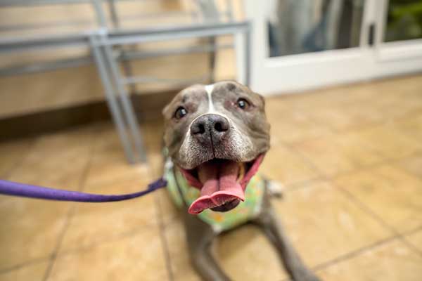 Service - Wellness Service - Wellness