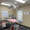 Our Surgery & Exam Room