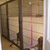 Our Boarding Kennels